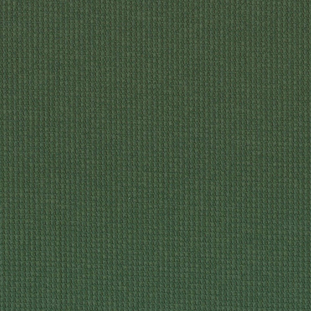 DGダークグリーン
